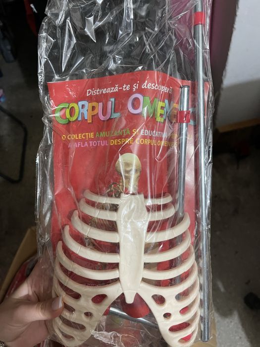 Corpul omenesc set (schelete impreuna cu organe) colectia Libertatea