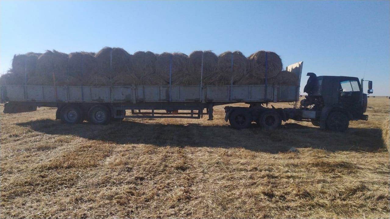 длинномер, камаз, шаланда грузоперевозки.