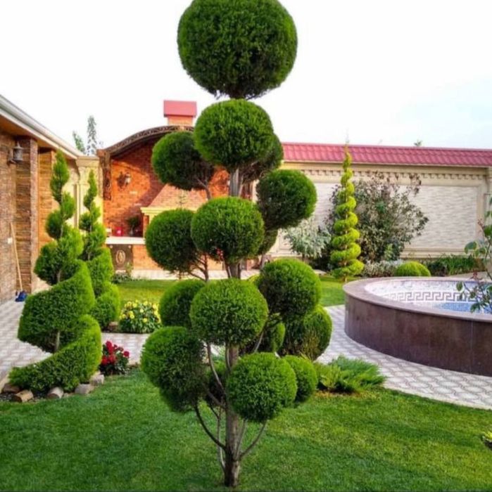 Садовник услуги Богбон