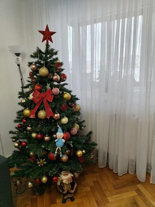 Vând brad în stare foarte bună.