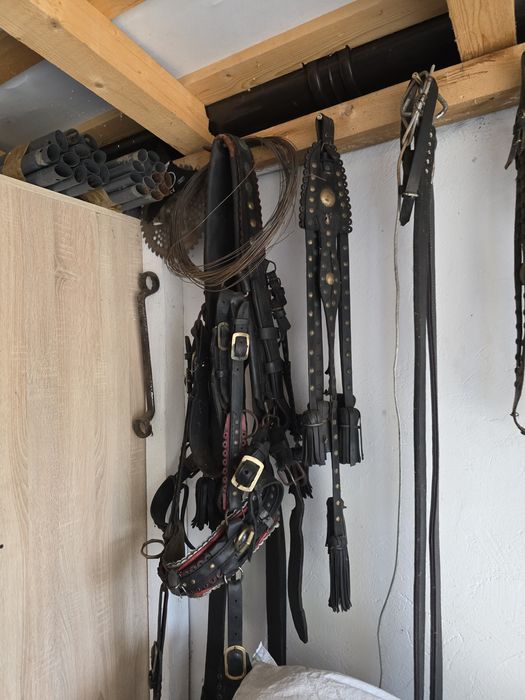 Vand ham Cal deosebit