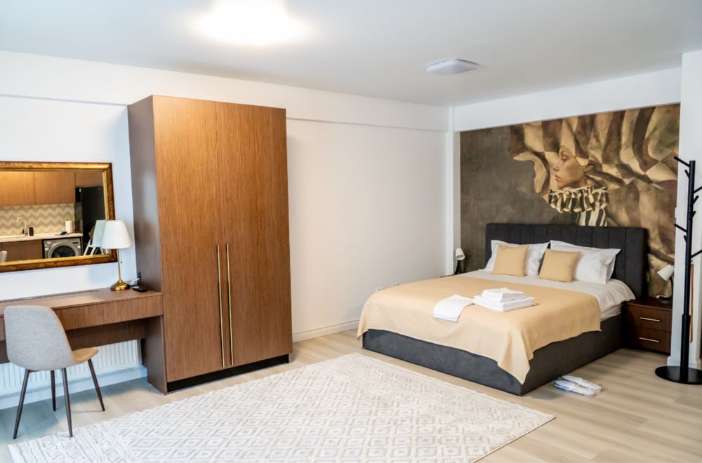Studio regim hotelier Piatra Neamt