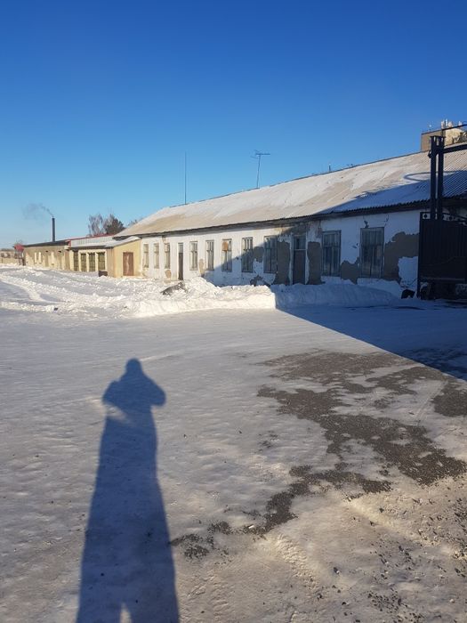 Сдаётся в аренду