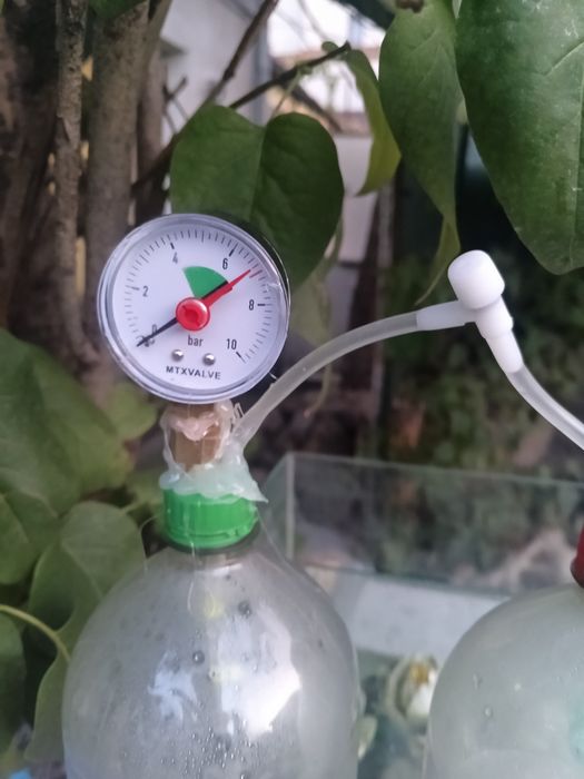 Sistem diy CO2 acvariu oferta!