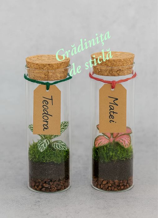 Marturii - Gradinita de sticla