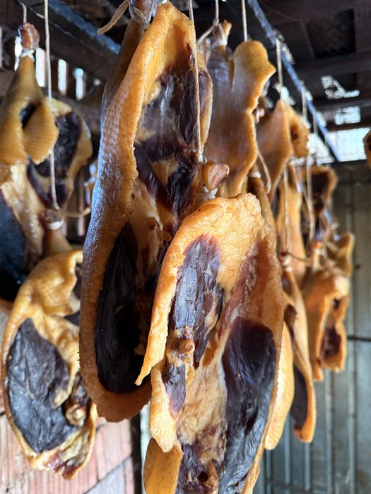 Sunca de rata afumata