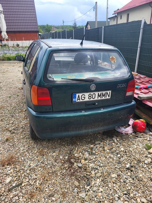 Polo 6n pentru rabla