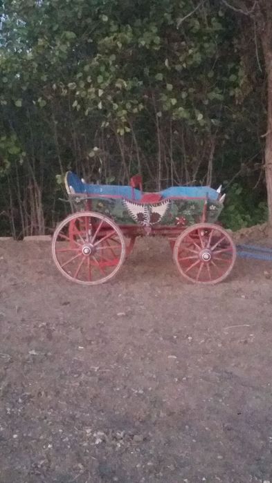 Магарешка каручка