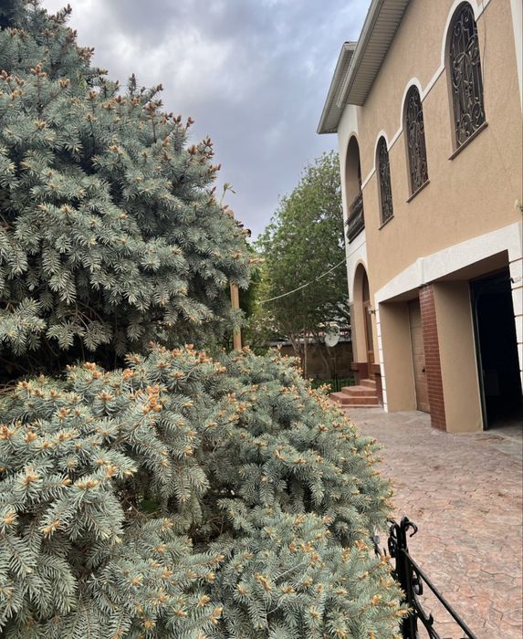 Посуточная аренда в городе