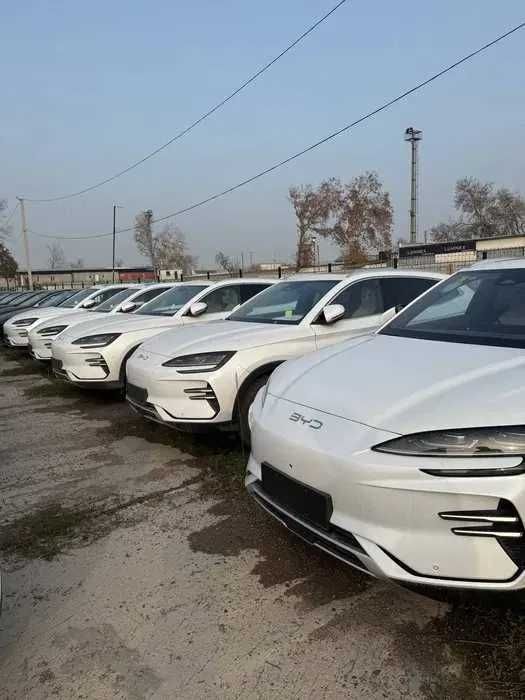 BYD Song Plus Champion 605km naqtga va nasiyaga chiqazib beramiz