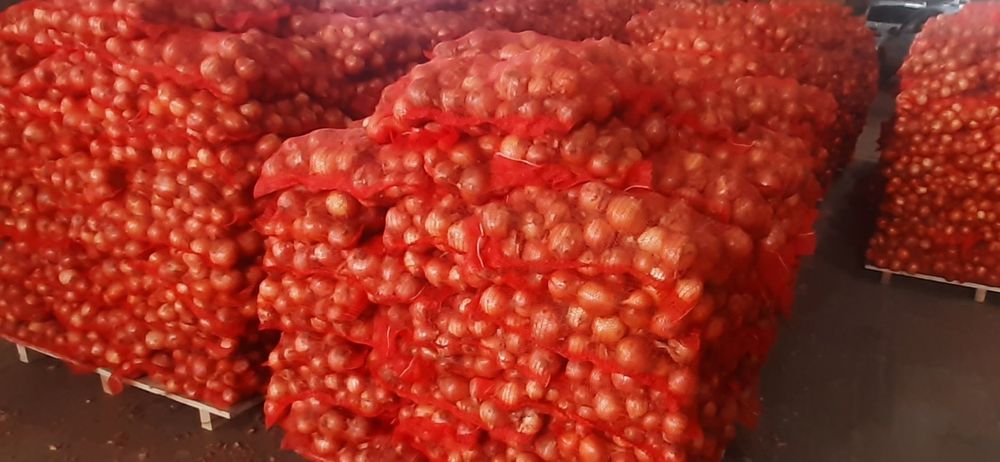 Ceapa romaneasca calitatea întâi