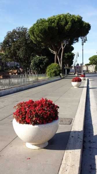 Gul tuvak / Gultuvak / Гул тувак / кашпо / урна / вазон | Arzon!