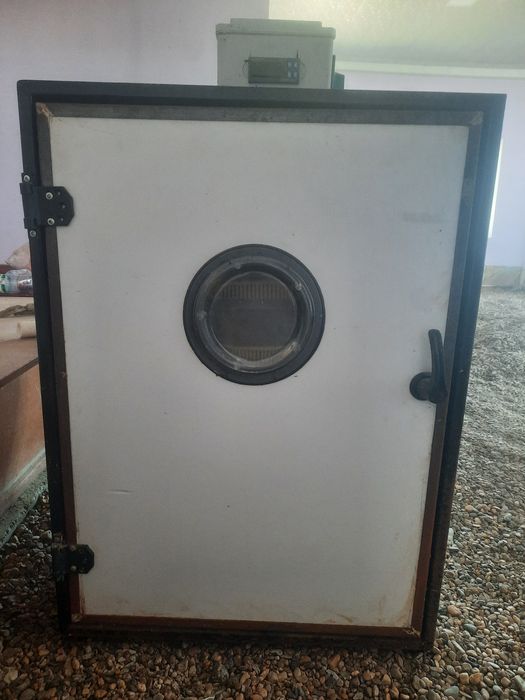 Инкубатор 500+ та тухум кетади. INKUBATOR