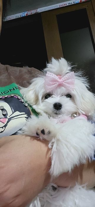 Мимика девочка пипевочка