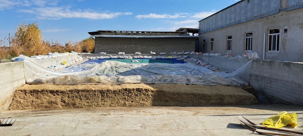 Silos sotiladi kg 1200 so'm