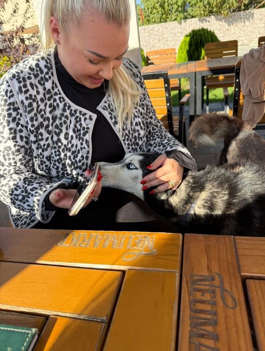 OFERTA! Husky Siberian, baietel, la un pret modest