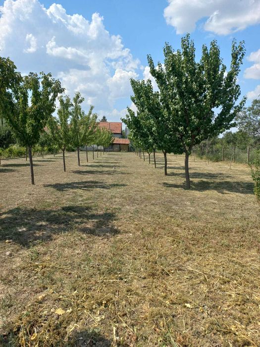 Casa de vanzare in Cuvin