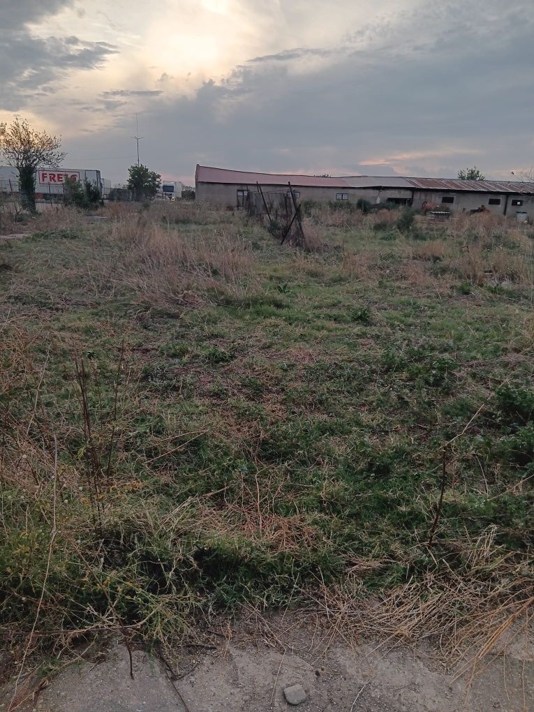 Ferma,Teren si Hala 25€/mp