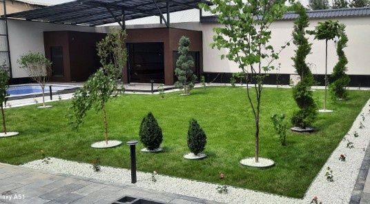 Газон с поливом.