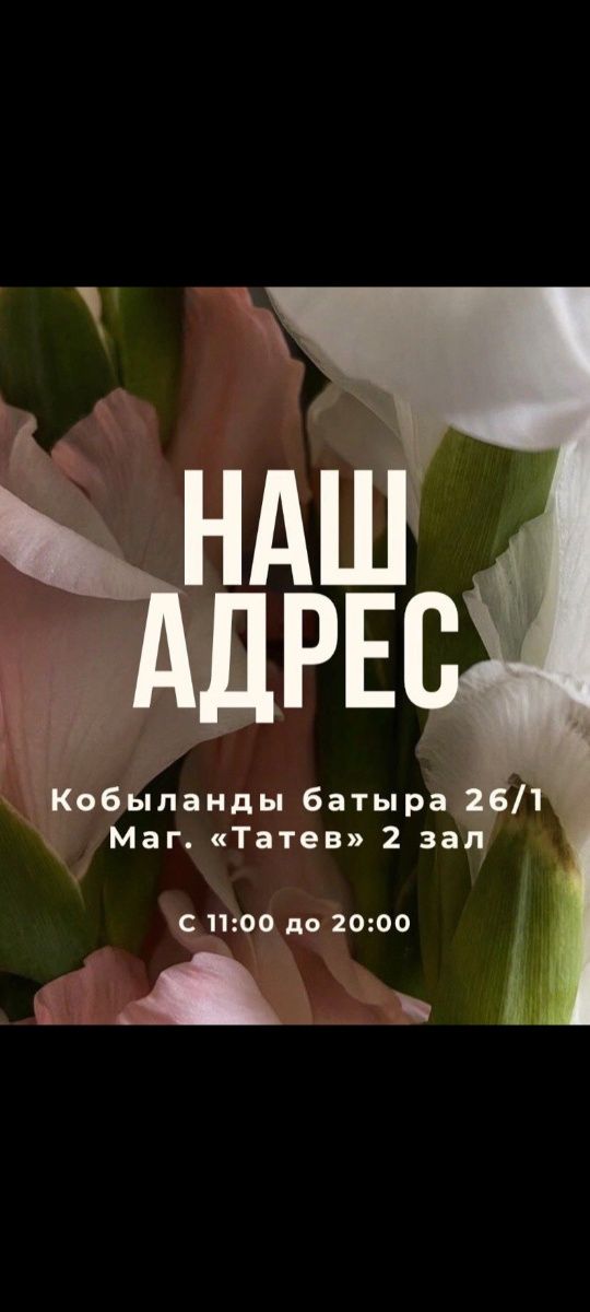 Широкий выбор комнатных растений.