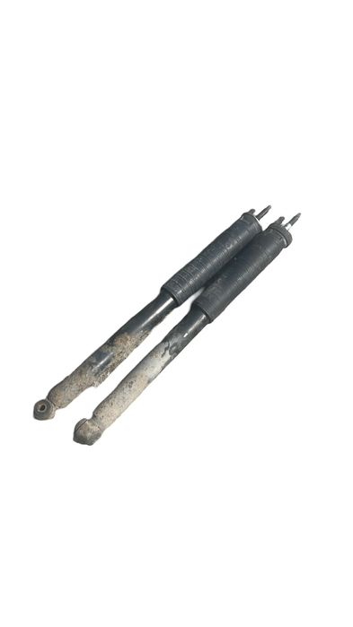 Set amortizoare spate MERCEDES-BENZ B-CLASS W245 2005 - 2011 E4-SR1-Z0