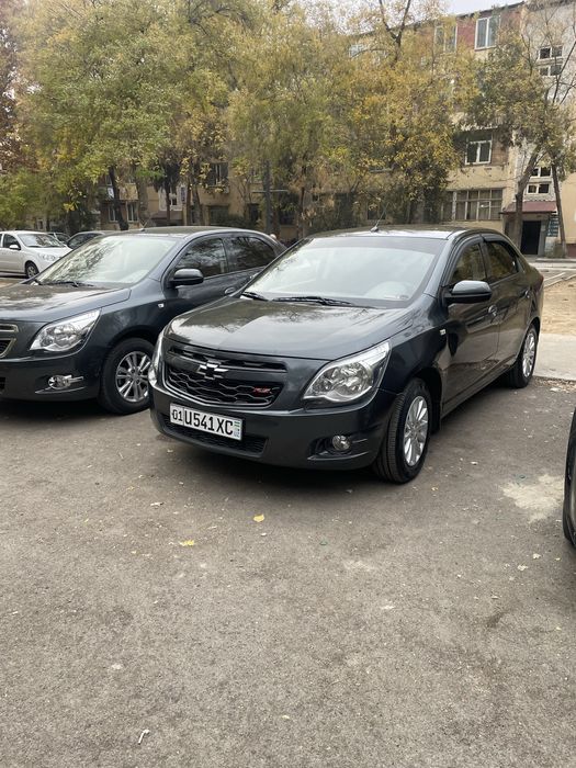 Cobalt 2020 4 pazitsa