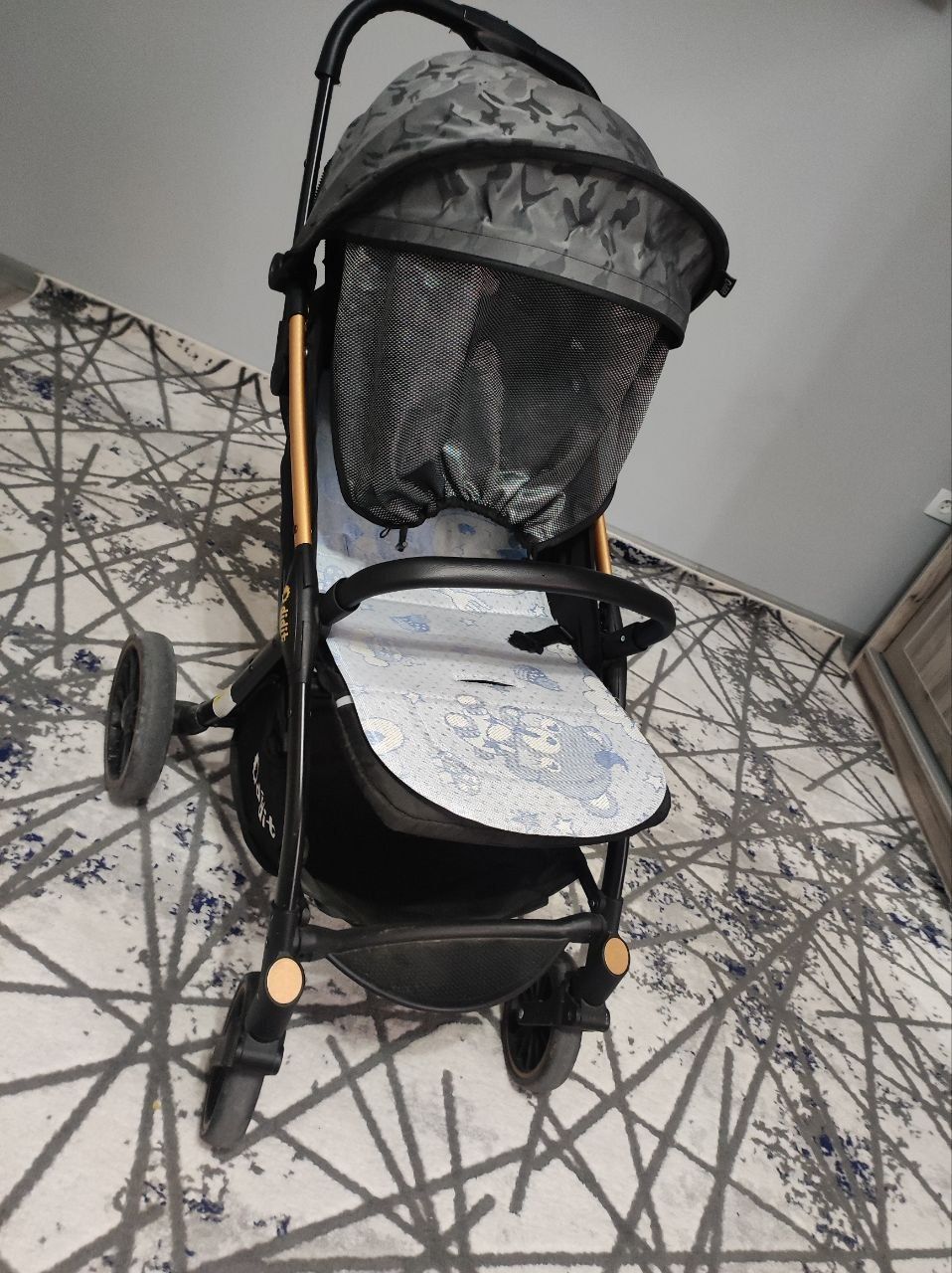 Детская коляска чемодан didit