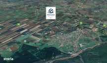 Teren extravilan Arabil compact Pecica Arad