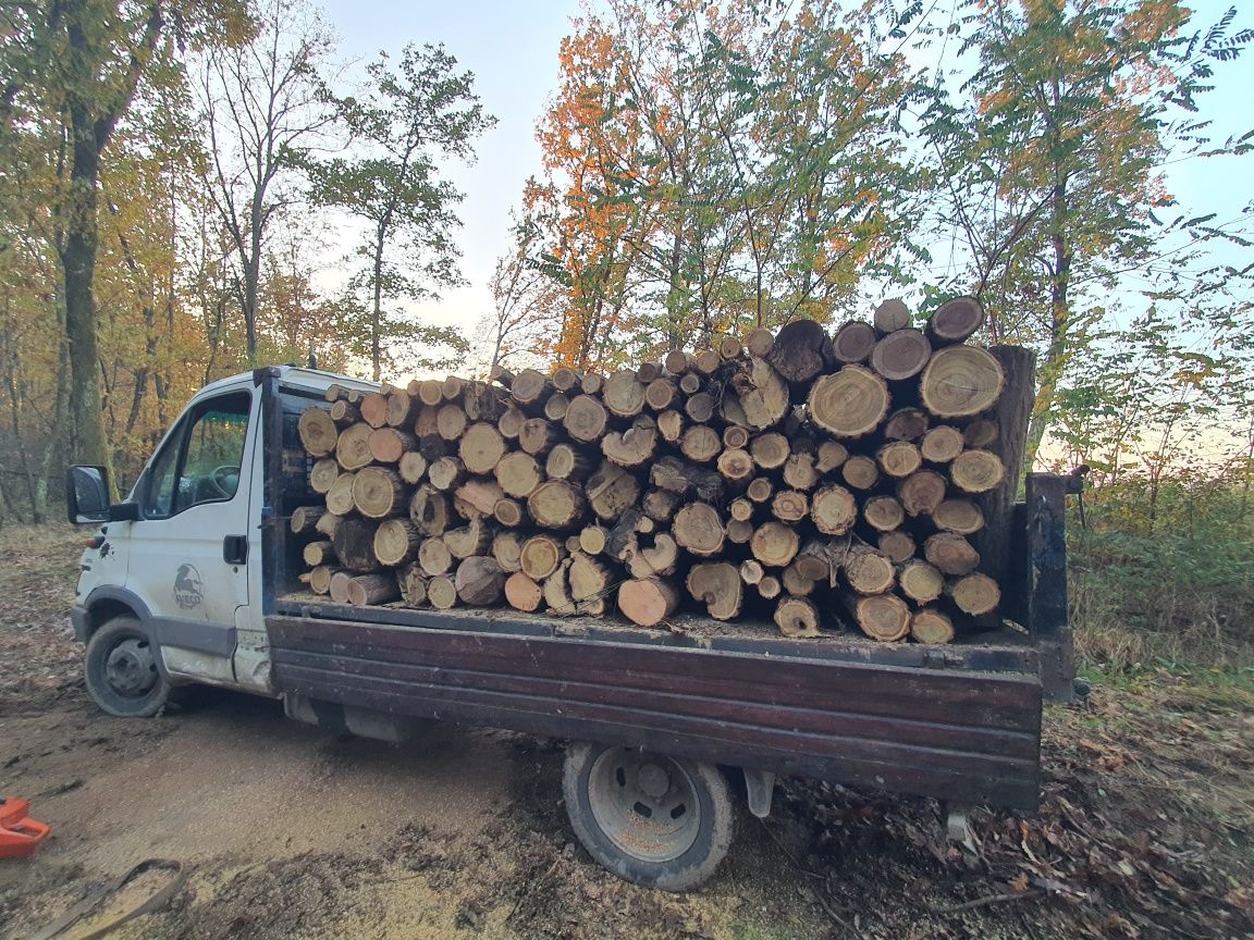 Lemne de foc esență tare