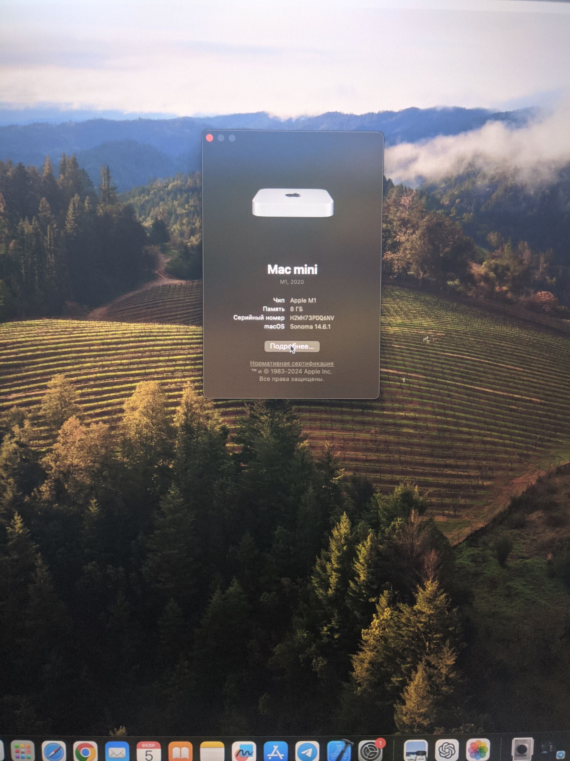 Mac mini M1 8/256