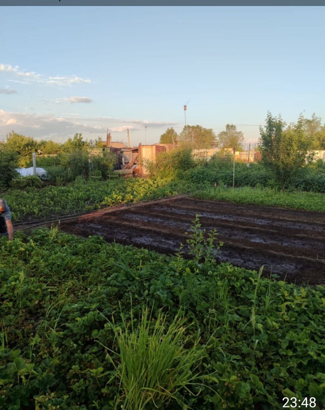 Продам дачу в СО Пригородное