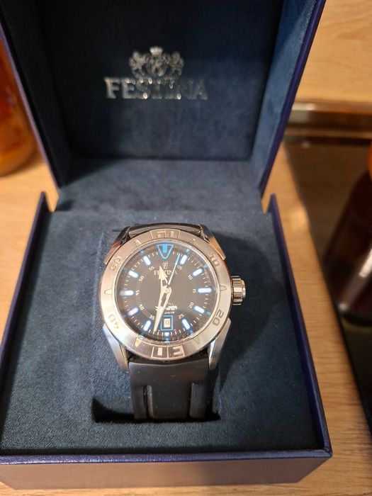 Мъжки часовник Festina Diver F16505