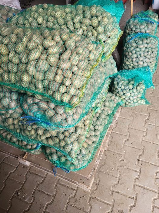 Vând cartofi pentru animale