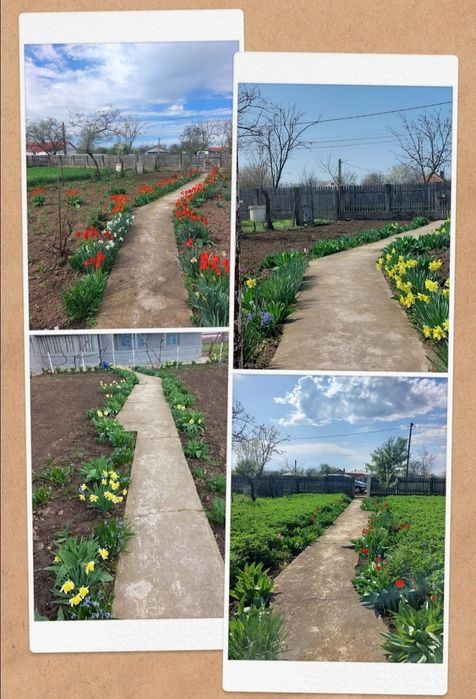 Vânzare casa Sat Lunca, C.A Rosetti