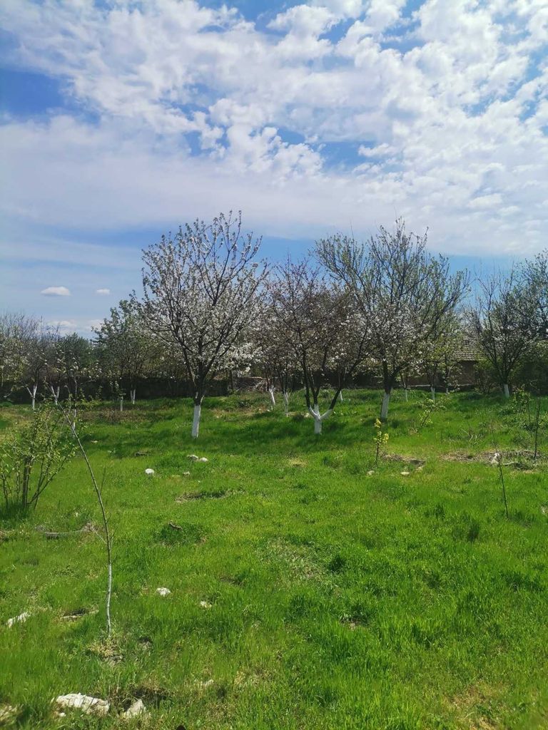Продава се Къща в с. Невша, Област Варна - 88 кв.м за 432 €/кв.м - Снимка #2