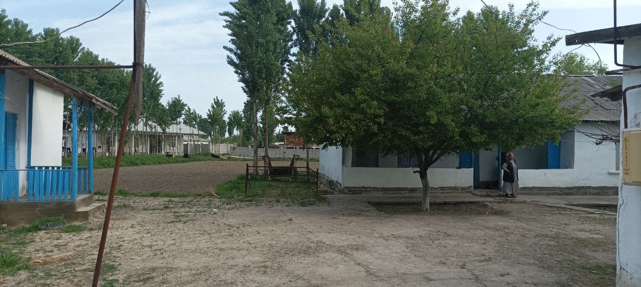 Toshkent viloyati ,Quyi Chirchiq tumani ,Doʻstlik 1 MFY Kushek maxalla
