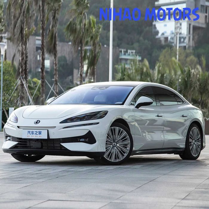 Denza Z9 - (Под заказ)