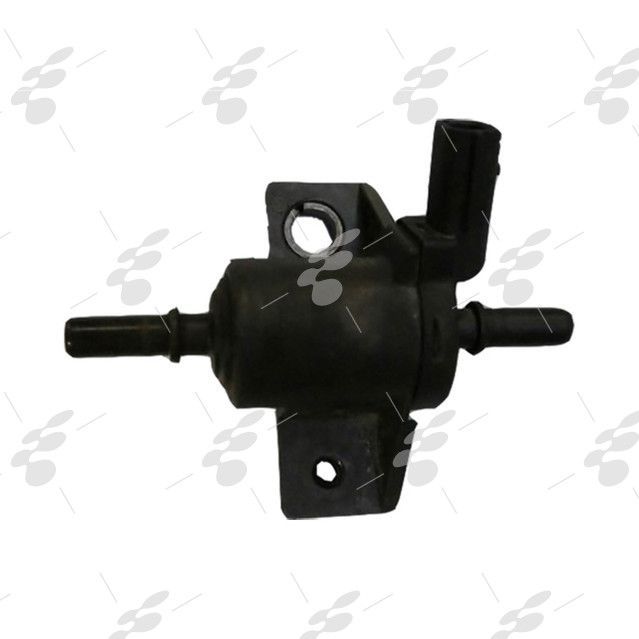 ELECTROVANA PRESIUNE INJECTIE RENAULT LAGUNA KANGOO 4.5DCI 208859042R