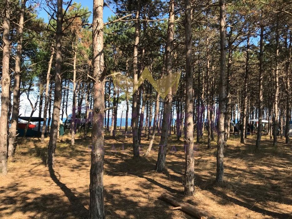 Продава се Парцел в с. Крапец, Област Добрич - 36455 кв.м за 53 €/кв.м - Снимка #1