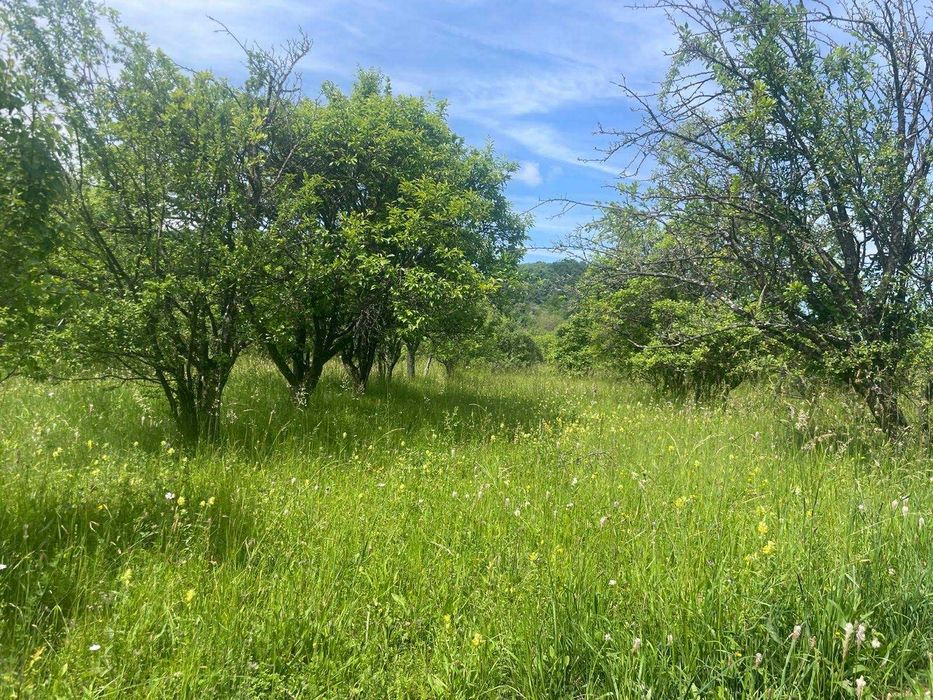 Teren de vanzare, peisaj superb, aproape de autostrada Pitesti-Sibiu