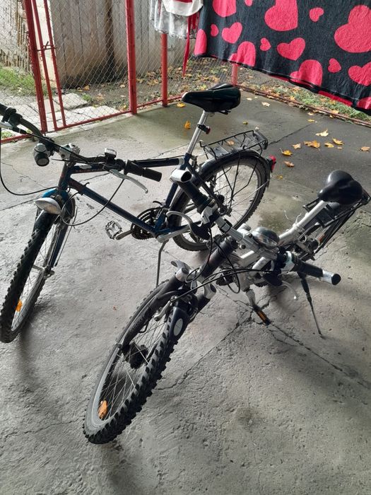 Bicicleta.                  .