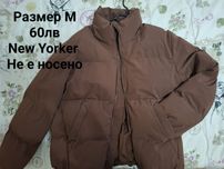 Зимни нови анкета