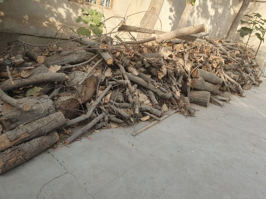 Otin bor .quruq otin