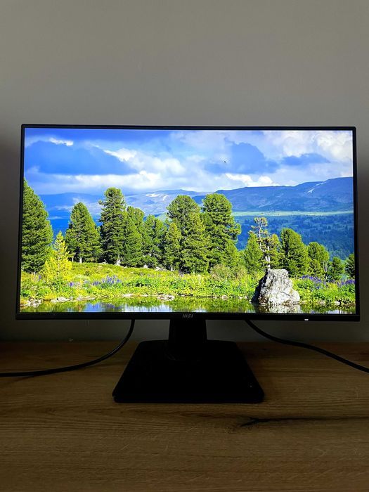 Монитор MSI в отлично състояние + подарък монитор, стойка и кабели