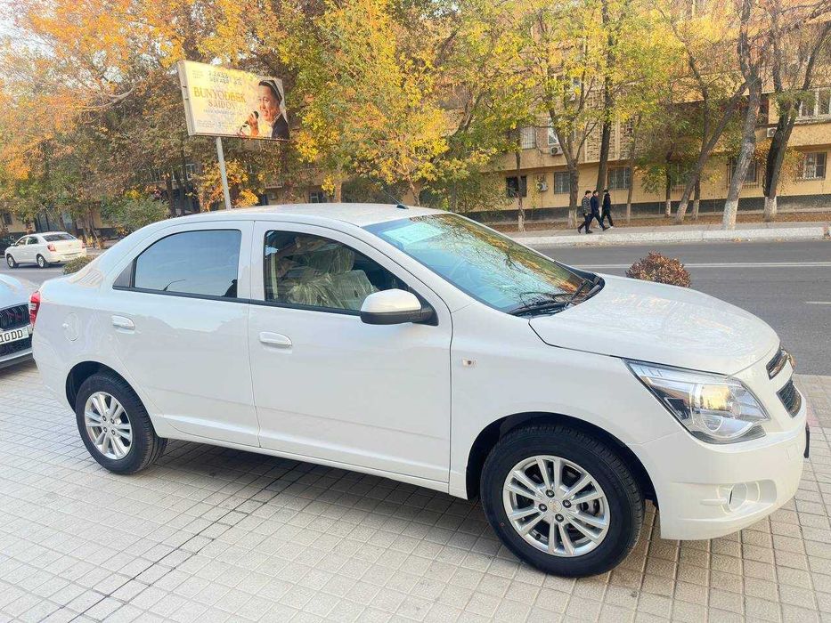 Cobalt style MCM 2025/2026 OQ