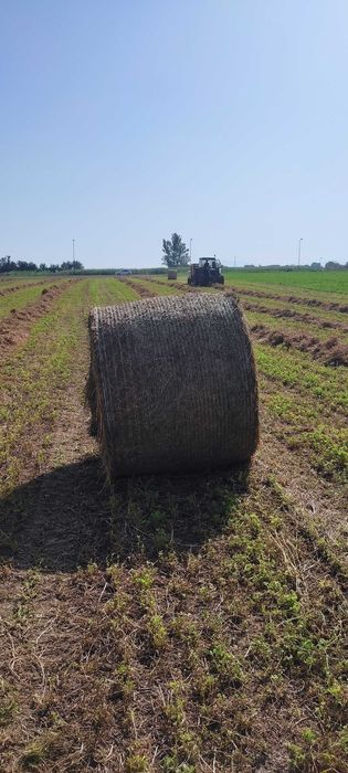 Vând baloți rotunzi de lucernă