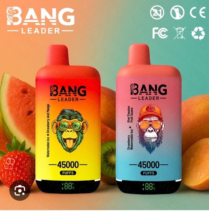 SUPER PRET! 2 x  Bang Leader 45k Puffs 2 Arome Reîncărcabil