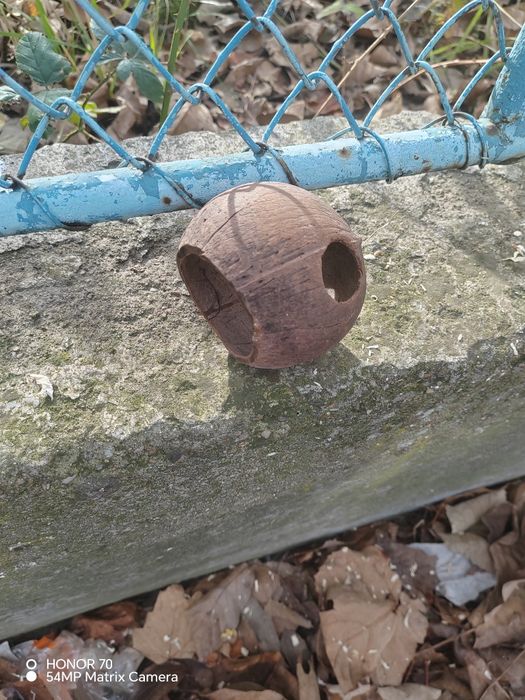 Decorațiuni hamsteri /purceluși de guineea