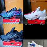 Nike air max plus  paint,.
