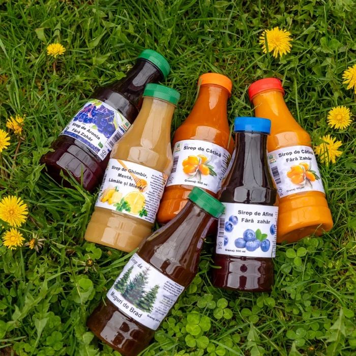 Siropuri Natural Presate la Rece: Cătină, Aronia, Coacăze negre, Afine